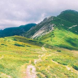 Ealim Nesa Giftson I